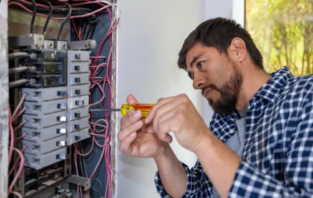 Best Home Electrical Repair  in Hidalgo, TX